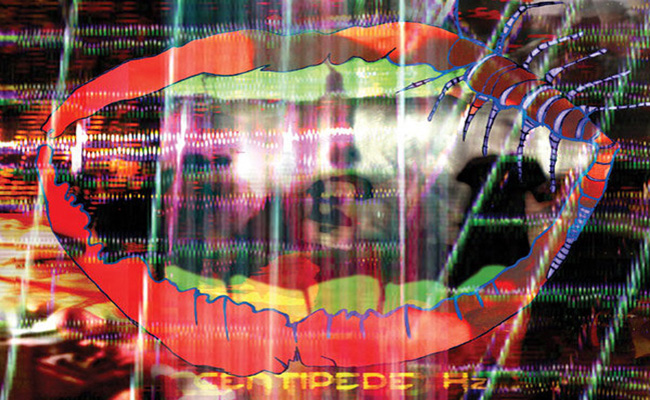 Animal Collective: Centipede Hz premiere