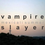 Vampire Slayer
