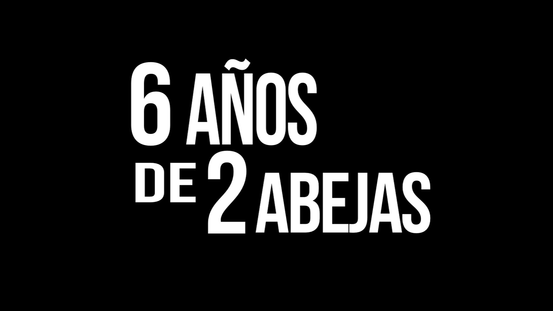 Seis Años De 2abejas