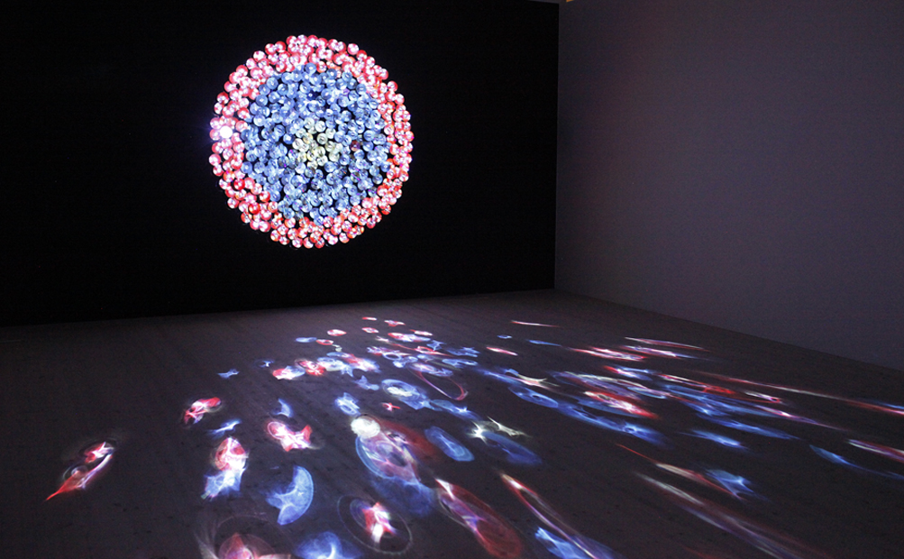 “Sikka Magnum y Tracks” de Daniel Canogar, mosaico audiovisual