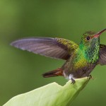 El almacén de la imagen: mirar al fotógrafo