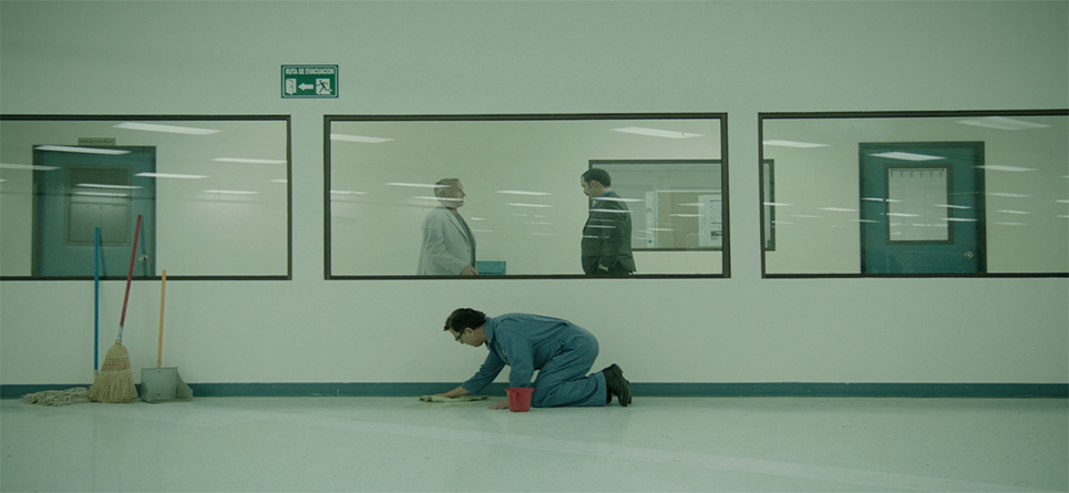 La cinematografía mexicana en camino a 2015