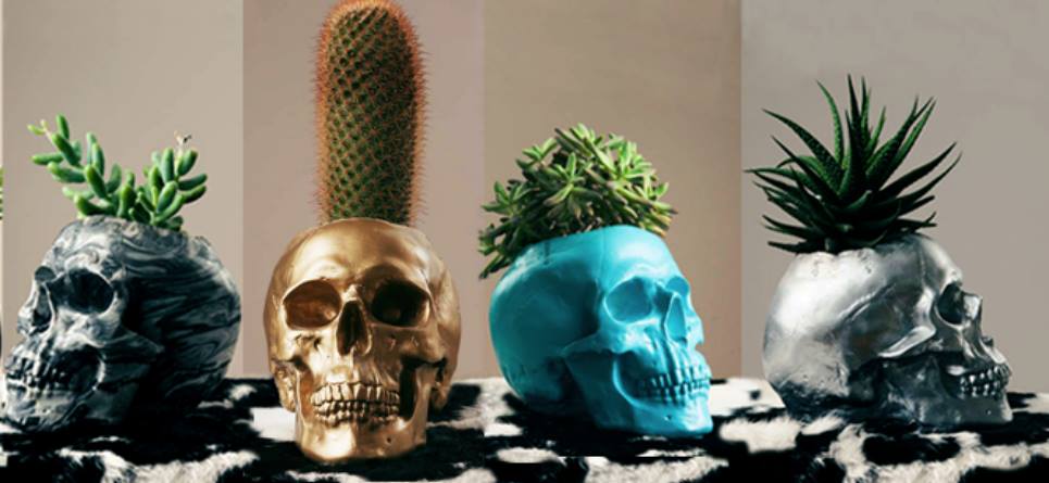 Armadillo Pots: La dualidad entre la vida y la muerte en una maceta