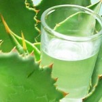 Impresiones francesas sobre: El Mezcal